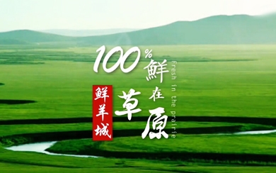 &#27431;&#27954;&#26479;&#19979;&#27880;&#40;&#20013;&#22269;&#41;&#23448;&#26041;&#32593;&#31449;