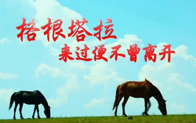 &#27431;&#27954;&#26479;&#19979;&#27880;&#40;&#20013;&#22269;&#41;&#23448;&#26041;&#32593;&#31449;